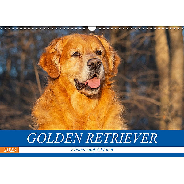 Golden Retriever - Freunde auf 4 Pfoten (Wandkalender 2023 DIN A3 quer), Sigrid Starick