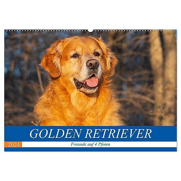 Golden Retriever - Freunde auf 4 Pfoten (Wandkalender 2024 DIN A2 quer), CALVENDO Monatskalender, Sigrid Starick