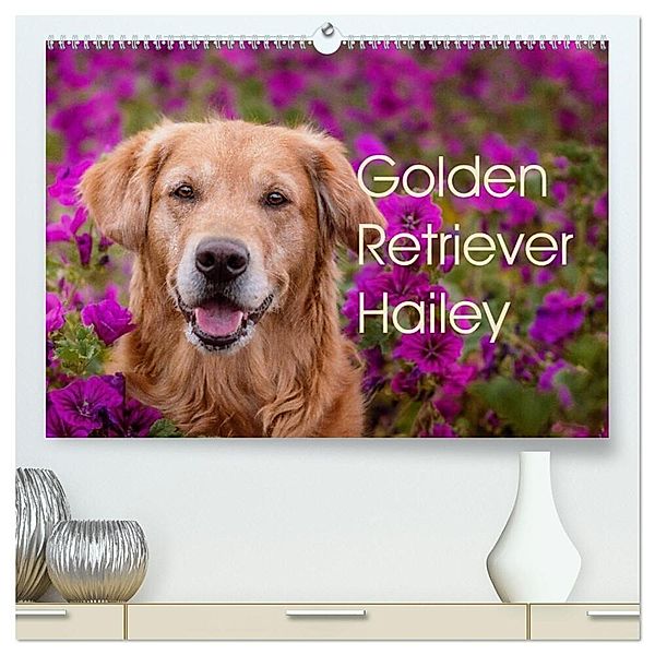 Golden Retriever Hailey Fotokalender (hochwertiger Premium Wandkalender 2024 DIN A2 quer), Kunstdruck in Hochglanz, Daniela Hofmeister