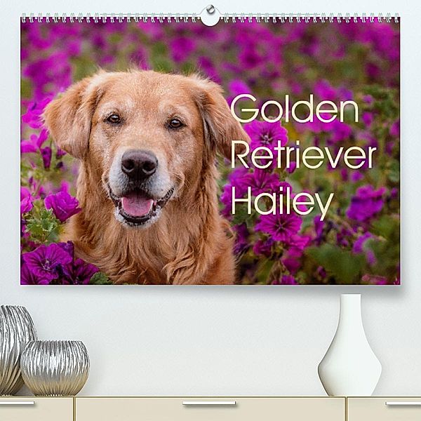 Golden Retriever Hailey Fotokalender (Premium, hochwertiger DIN A2 Wandkalender 2023, Kunstdruck in Hochglanz), Daniela Hofmeister