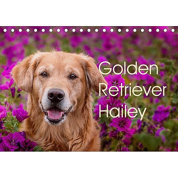 Golden Retriever Hailey Fotokalender (Tischkalender 2020 DIN A5 quer), Daniela Hofmeister