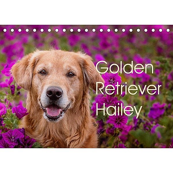 Golden Retriever Hailey Fotokalender (Tischkalender 2023 DIN A5 quer), Daniela Hofmeister