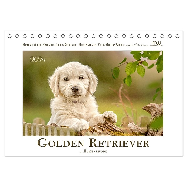 Golden Retriever... Herzenshunde (Tischkalender 2024 DIN A5 quer), CALVENDO Monatskalender, Martina Wrede - Wredefotografie