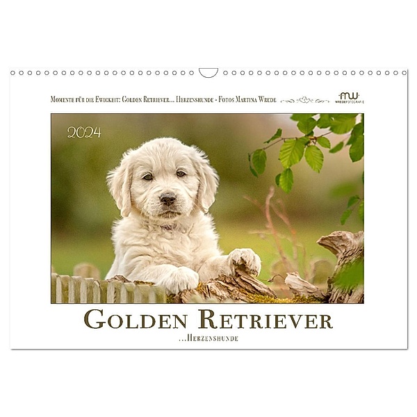 Golden Retriever... Herzenshunde (Wandkalender 2024 DIN A3 quer), CALVENDO Monatskalender, Martina Wrede - Wredefotografie