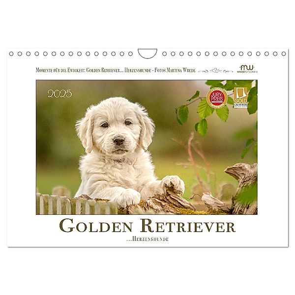 Golden Retriever... Herzenshunde (Wandkalender 2025 DIN A4 quer), CALVENDO Monatskalender, Calvendo, Martina Wrede - Wredefotografie