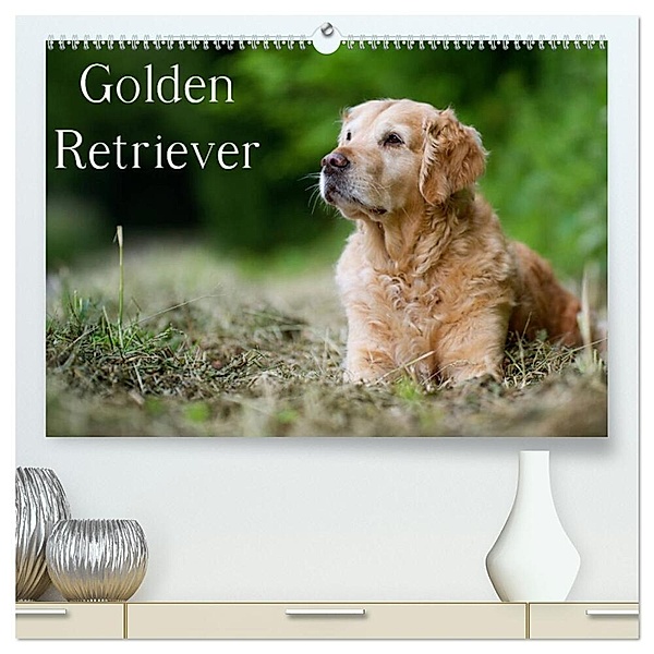 Golden Retriever (hochwertiger Premium Wandkalender 2024 DIN A2 quer), Kunstdruck in Hochglanz, Nicole Noack