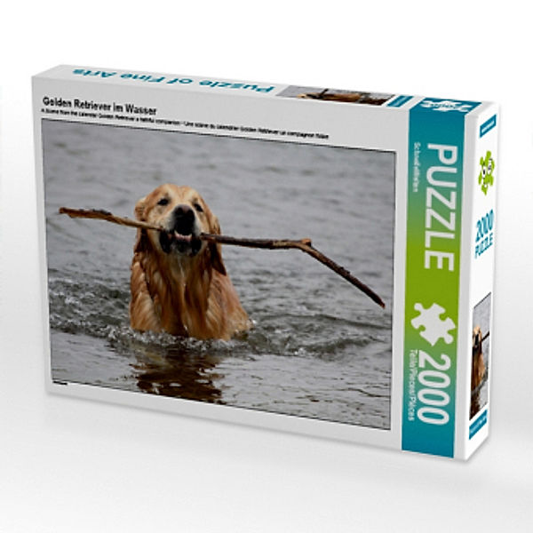 Golden Retriever im Wasser (Puzzle), SchnelleWelten