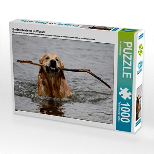 Golden Retriever im Wasser (Puzzle), SchnelleWelten