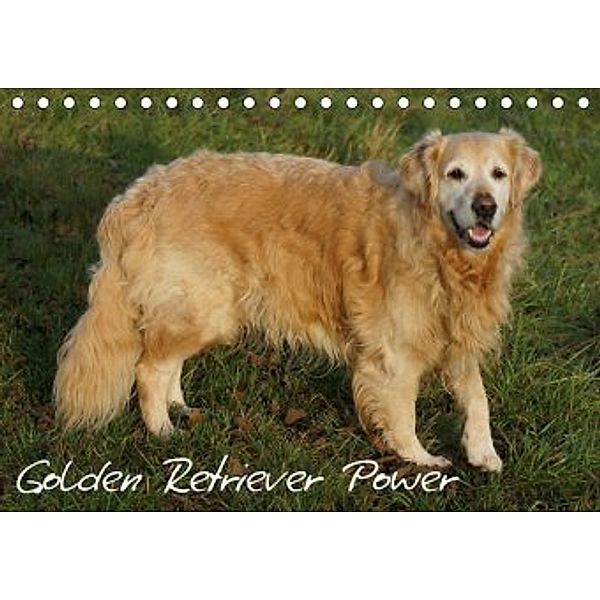 Golden Retriever Power (Tischkalender 2020 DIN A5 quer)