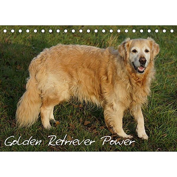 Golden Retriever Power (Tischkalender 2023 DIN A5 quer), Kattobello