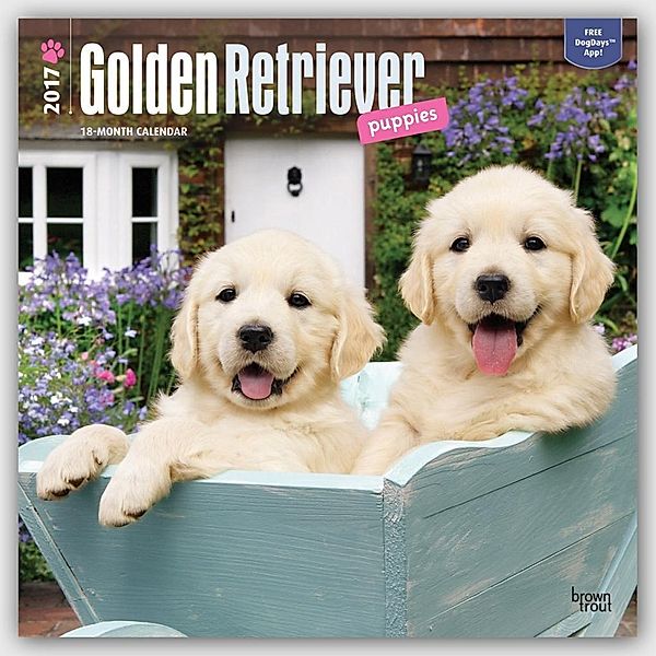 Golden Retriever Puppies 2017, Inc Browntrout Publishers