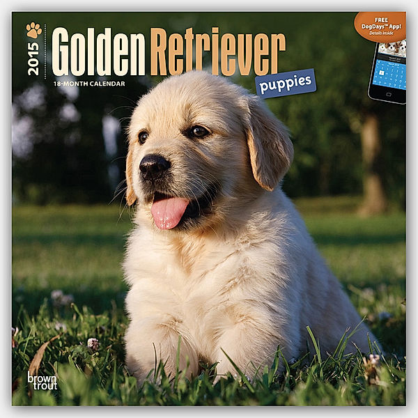 Golden Retriever Puppies Calendar