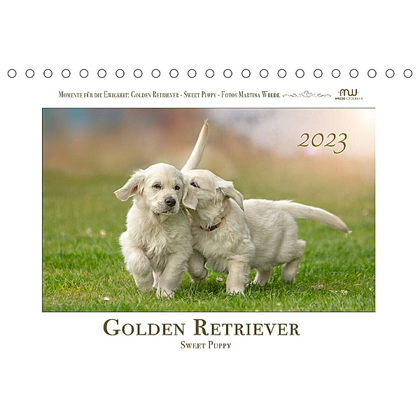 Golden Retriever - Sweet Puppy (Tischkalender 2023 DIN A5 quer), Martina Wrede