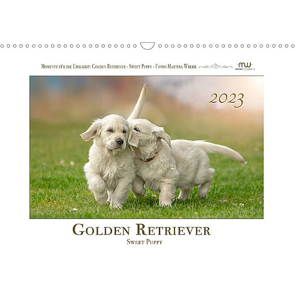 Golden Retriever - Sweet Puppy (Wandkalender 2023 DIN A3 quer), Martina Wrede