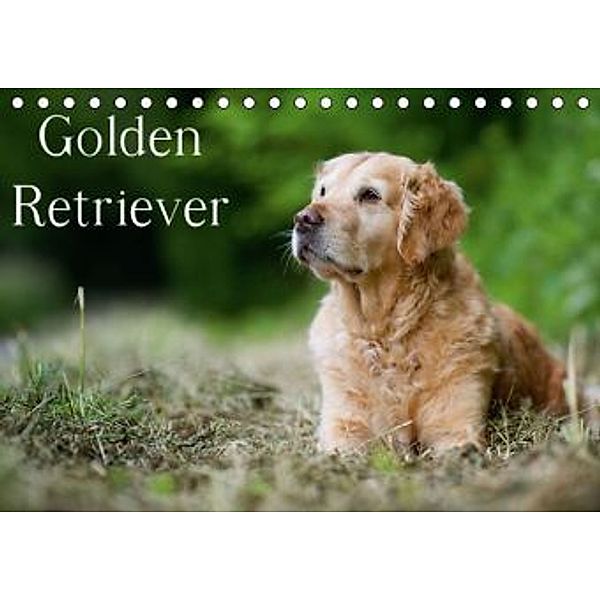 Golden Retriever (Tischkalender 2015 DIN A5 quer), Nicole Noack