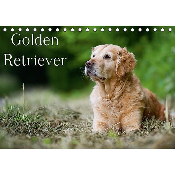 Golden Retriever (Tischkalender 2017 DIN A5 quer), Nicole Noack