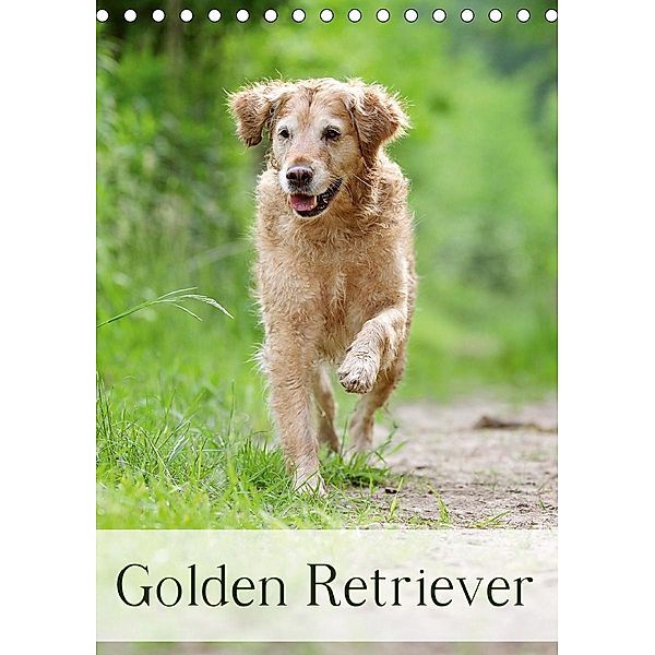 Golden Retriever (Tischkalender 2021 DIN A5 hoch), Nicole Noack
