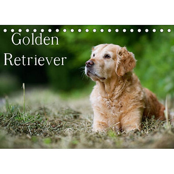 Golden Retriever (Tischkalender 2022 DIN A5 quer), Nicole Noack