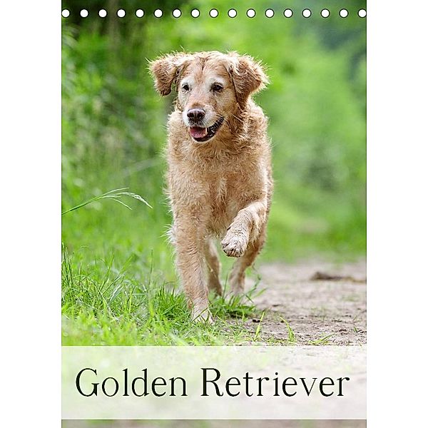 Golden Retriever (Tischkalender 2023 DIN A5 hoch), Nicole Noack