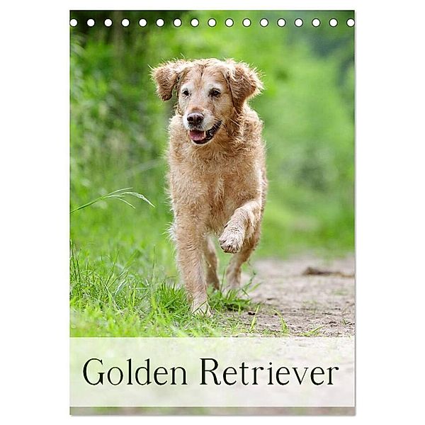 Golden Retriever (Tischkalender 2024 DIN A5 hoch), CALVENDO Monatskalender, Nicole Noack