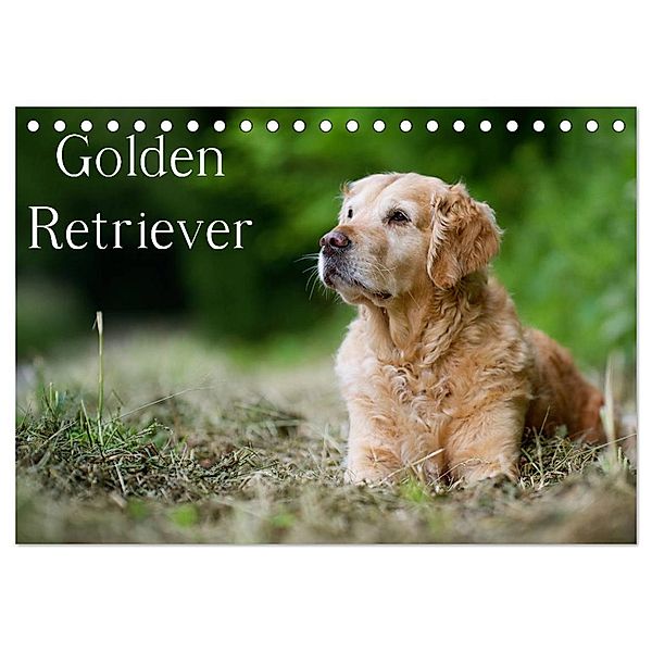 Golden Retriever (Tischkalender 2024 DIN A5 quer), CALVENDO Monatskalender, Nicole Noack