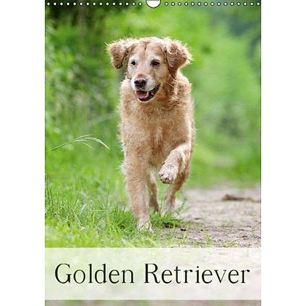 Golden Retriever (Wandkalender 2015 DIN A3 hoch), Nicole Noack