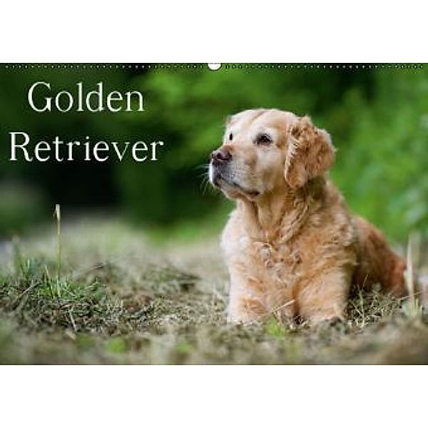 Golden Retriever (Wandkalender 2016 DIN A2 quer), Nicole Noack