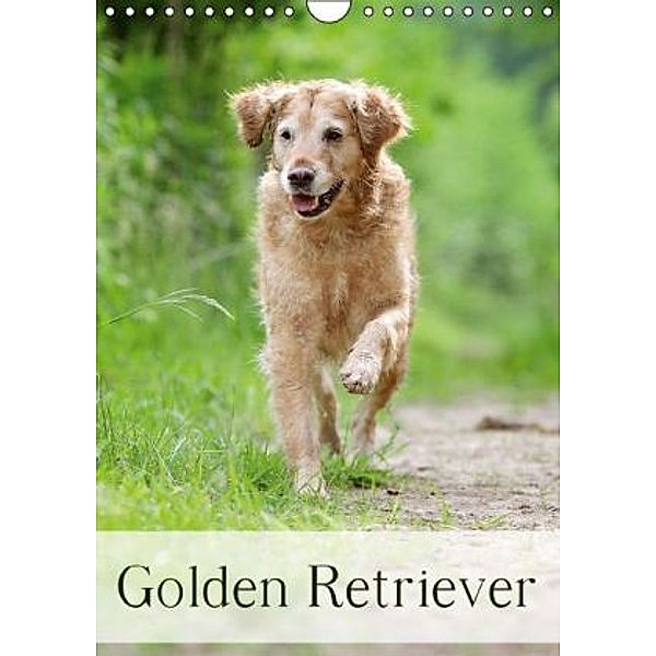 Golden Retriever (Wandkalender 2016 DIN A4 hoch), Nicole Noack