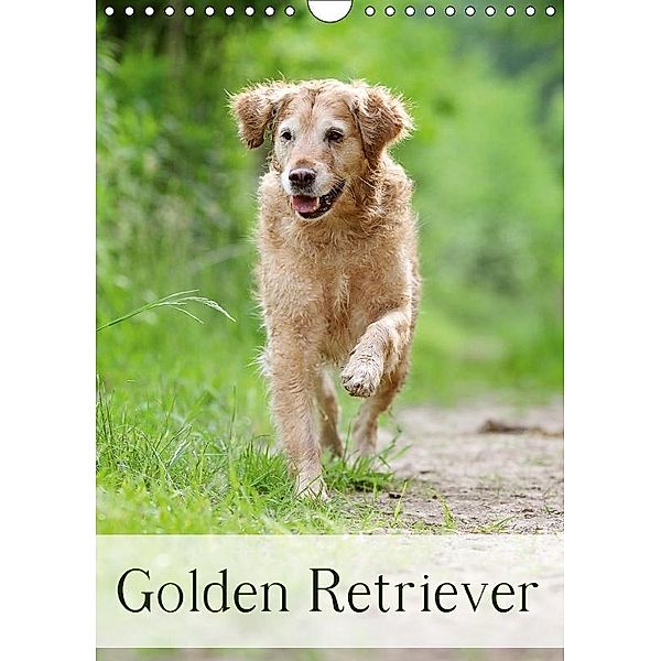 Golden Retriever (Wandkalender 2017 DIN A4 hoch), Nicole Noack