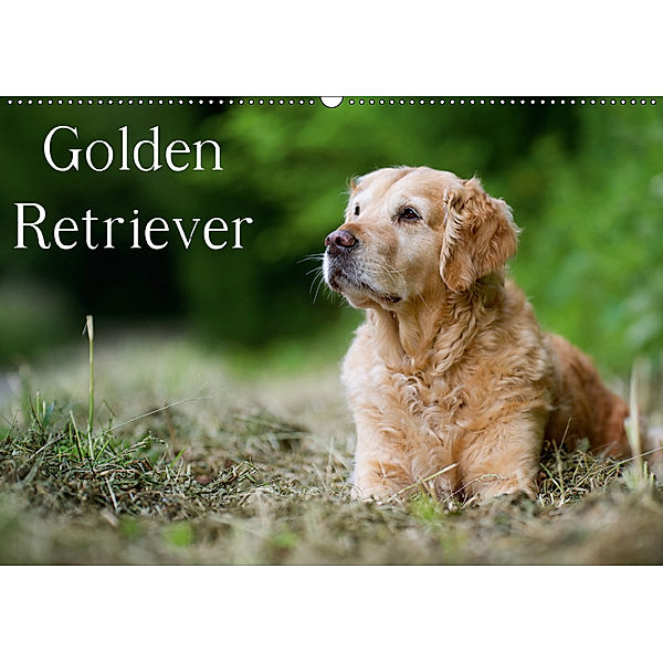 Golden Retriever (Wandkalender 2019 DIN A2 quer), Nicole Noack