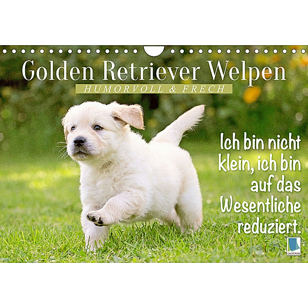 Golden Retriever Welpen: Humorvoll und frech (Wandkalender 2023 DIN A4 quer), Calvendo