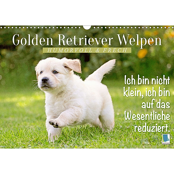 Golden Retriever Welpen: Humorvoll und frech (Wandkalender 2023 DIN A3 quer), Calvendo