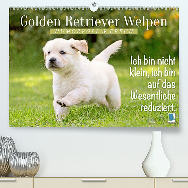 Golden Retriever Welpen: Humorvoll und frech (Premium, hochwertiger DIN A2 Wandkalender 2023, Kunstdruck in Hochglanz), Calvendo