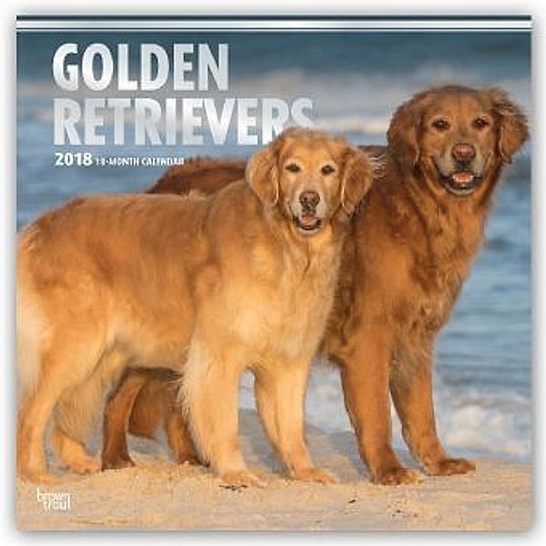 Golden Retrievers 2018 - 18-Monatskalender mit freier DogDays-App, BrownTrout Publisher