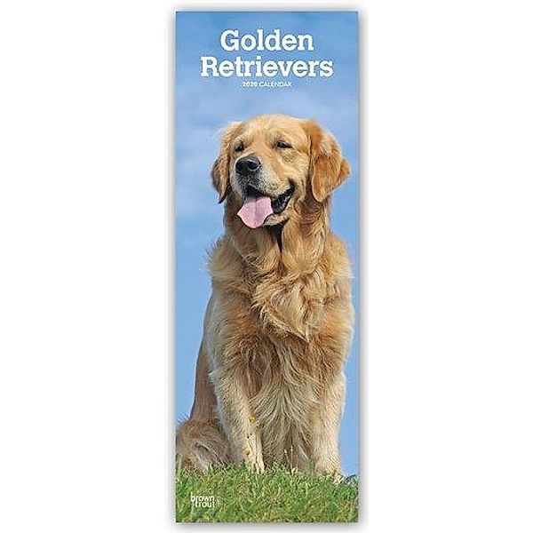 Golden Retrievers 2020, BrownTrout Publishers