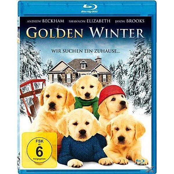 Golden Winter - Wir suchen ein Zuhause