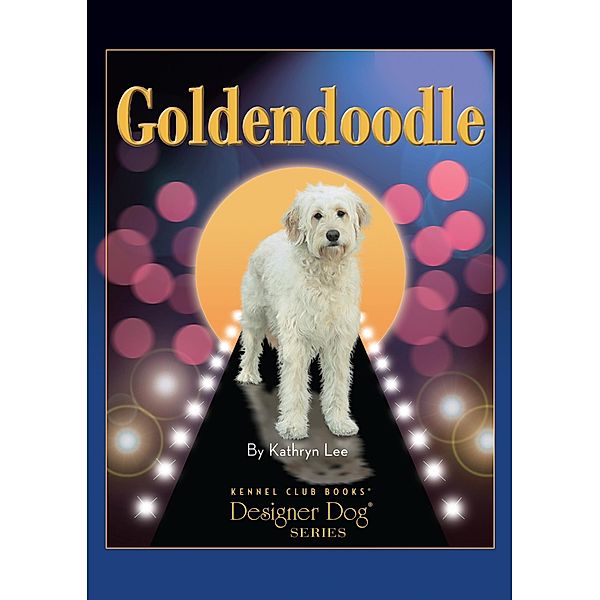 Goldendoodle / Designer Dog, Kathryn Lee