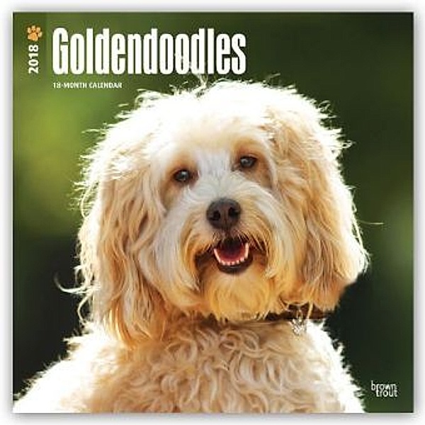 Goldendoodles 2018 - 18-Monatskalender mit freier DogDays-App, BrownTrout Publisher