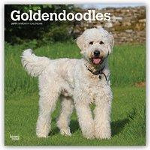 Goldendoodles 2019 - 18-Monatskalender mit freier DogDays-Ap