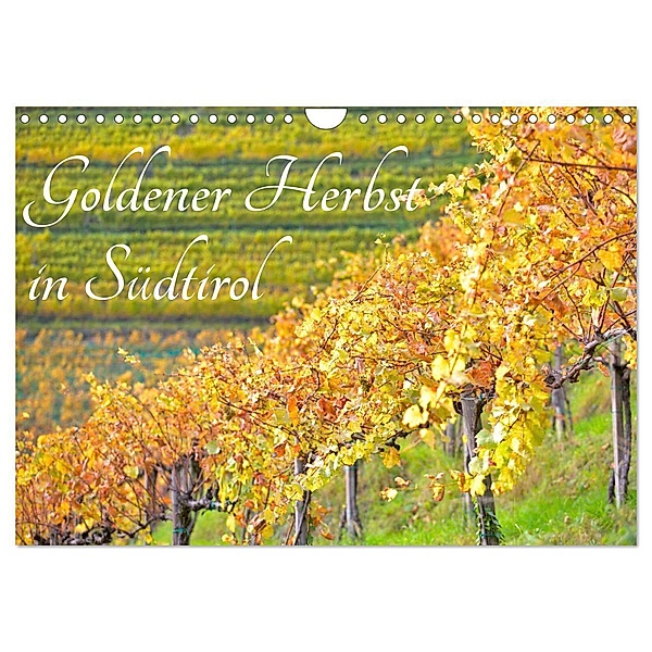 Goldener Herbst in Südtirol (Wandkalender 2024 DIN A4 quer), CALVENDO Monatskalender, Lars Nullmeyer