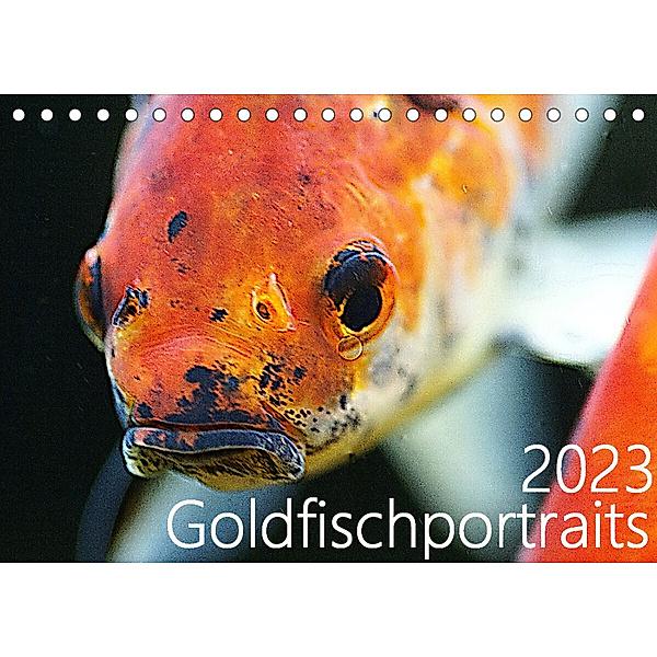 Goldfischportraits (Tischkalender 2023 DIN A5 quer), Hanne Wirtz