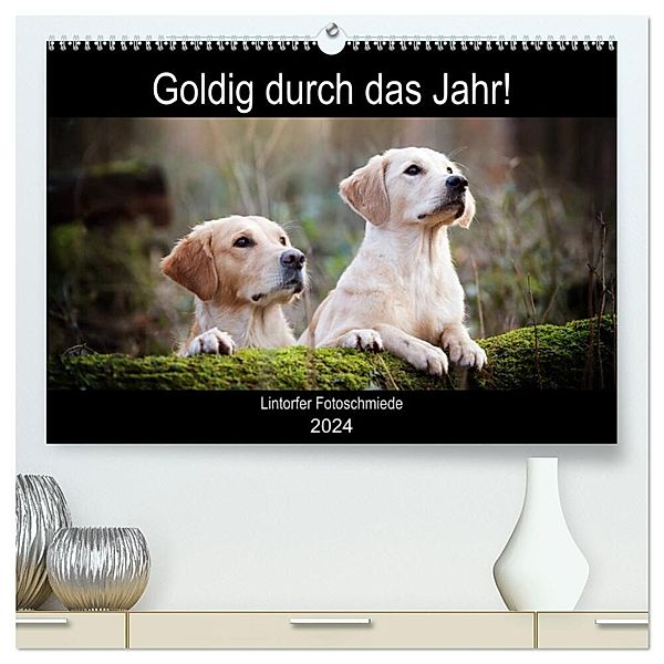 Goldig durch das Jahr! (hochwertiger Premium Wandkalender 2024 DIN A2 quer), Kunstdruck in Hochglanz, Jennifer Bohlmann