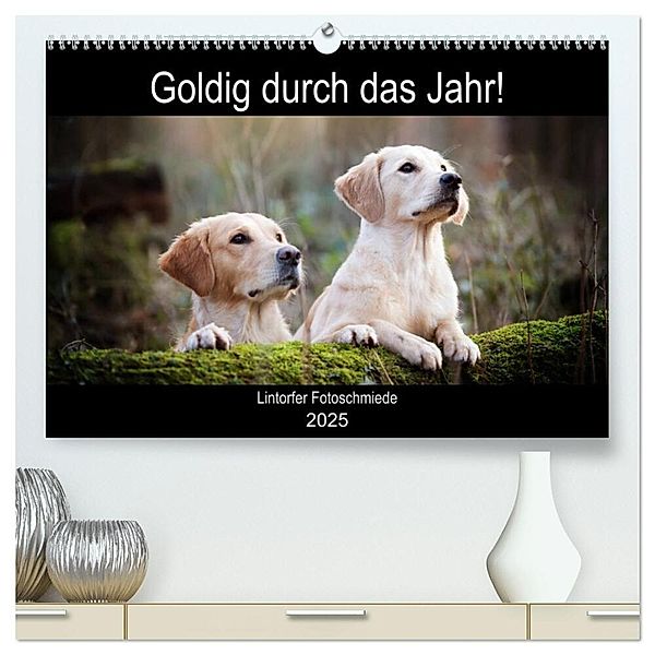 Goldig durch das Jahr! (hochwertiger Premium Wandkalender 2025 DIN A2 quer), Kunstdruck in Hochglanz, Calvendo, Jennifer Bohlmann