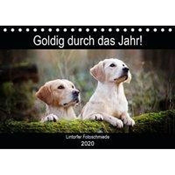 Goldig durch das Jahr! (Tischkalender 2020 DIN A5 quer), Jennifer Bohlmann