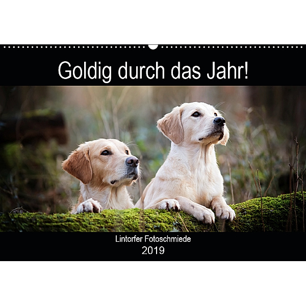 Goldig durch das Jahr! (Wandkalender 2019 DIN A2 quer), Jennifer Bohlmann
