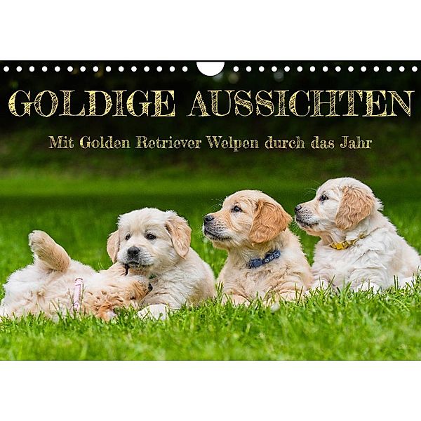 Goldige Aussichten - Mit Golden Retriever Welpen durch das Jahr (Wandkalender 2023 DIN A4 quer), Sigrid Starick