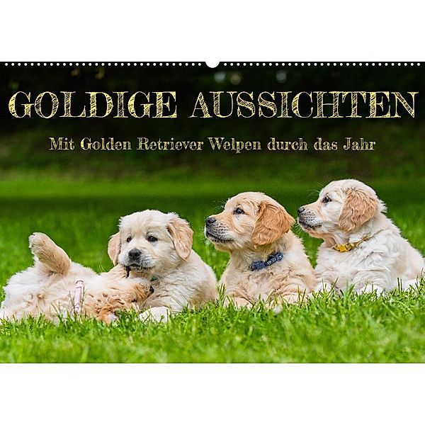Goldige Aussichten - Mit Golden Retriever Welpen durch das Jahr (Wandkalender 2023 DIN A2 quer), Sigrid Starick