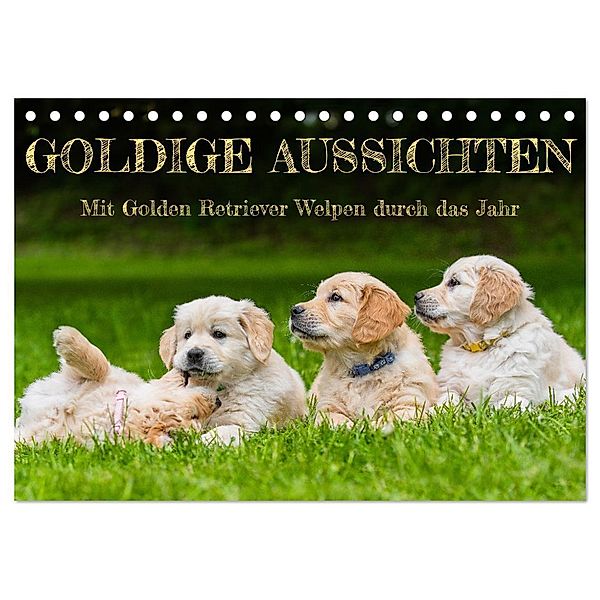 Goldige Aussichten - Mit Golden Retriever Welpen durch das Jahr (Tischkalender 2024 DIN A5 quer), CALVENDO Monatskalender, Sigrid Starick