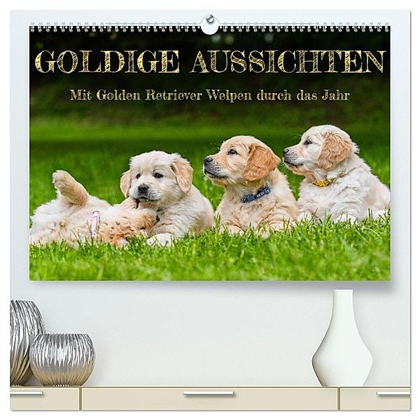 Goldige Aussichten - Mit Golden Retriever Welpen durch das Jahr (hochwertiger Premium Wandkalender 2024 DIN A2 quer), Kunstdruck in Hochglanz, Sigrid Starick