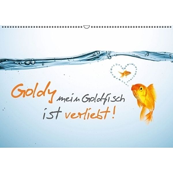 Goldy mein Goldfisch ist verliebt! (Wandkalender 2016 DIN A2 quer), R. Classen